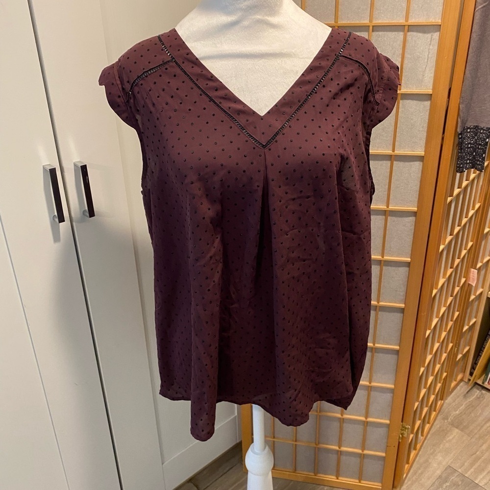 41 Hawthorn Polka Dot V Neck Ruffle Cap Sleeve Scallop Back Purple Black XL